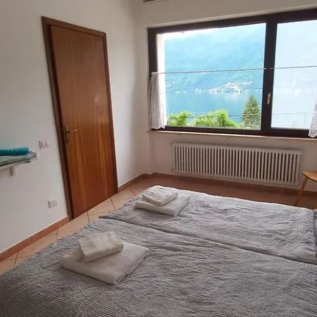 Casa Camelie