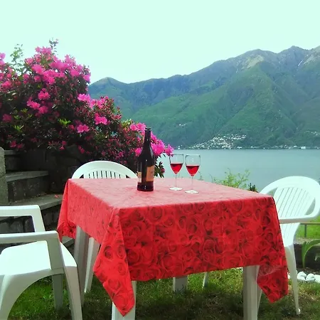 Holiday home Casa Camelie *