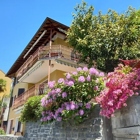 Casa Camelie