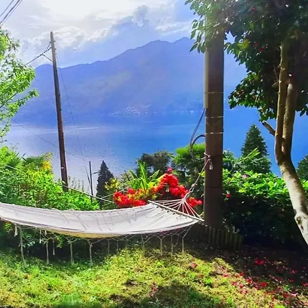 Casa Camelie Pino Lago Maggiore