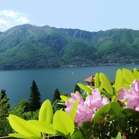 Casa Camelie * Pino Lago Maggiore