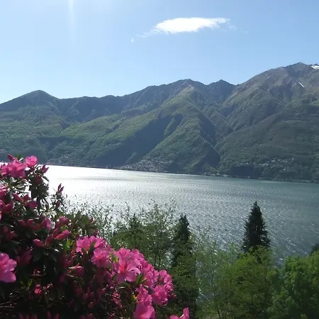 Holiday home Casa Camelie *