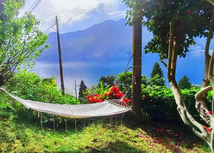 Casa Camelie Pino Lago Maggiore