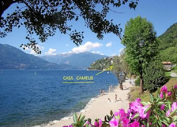 펜션 Casa Camelie *