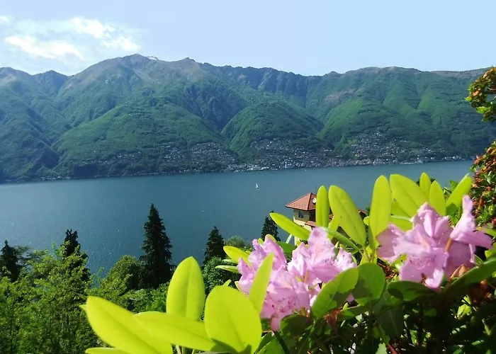 Casa Camelie * Pino Lago Maggiore
