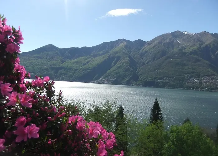 펜션 Casa Camelie *