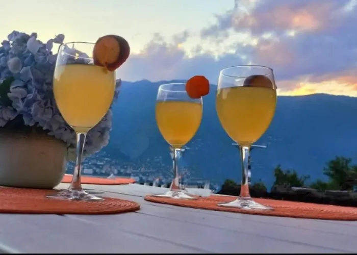 Casa Camelie Pino Lago Maggiore